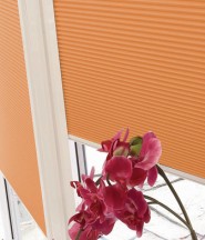conservatory_blinds5
